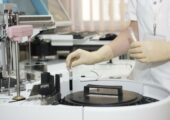 Ученые продолжают исследовать происхождение коронавируса  и его возможные мутации
